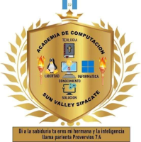 academiadecomputacionsunvalley.milaulas.com